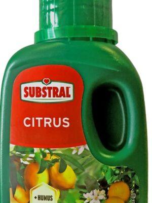 Substal tečno đubrivo za agrume